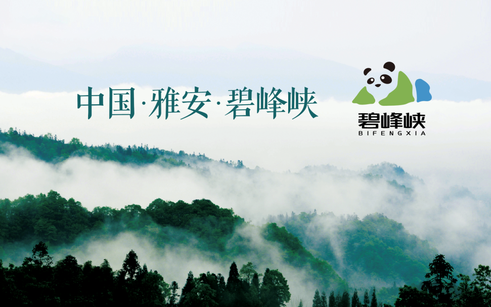 腾博汇游戏官网·(中国)专业效劳,诚信为本